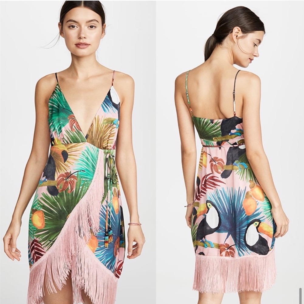 Tropical Tucano Farm Rio Dress